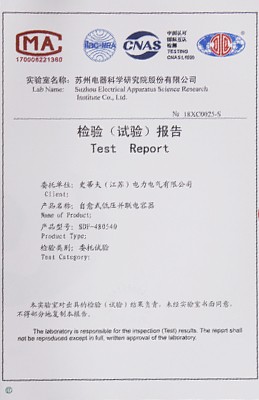 实验报告
